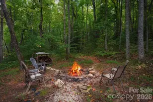 410 Rockwood Dr, Hendersonville, NC 28792 - Photo 37