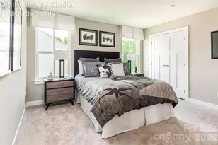 5015 Pineapple Lily Dr, Charlotte, NC 28216 - Photo 11