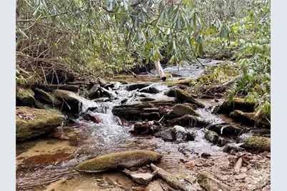 581 Hubbard Hollow Road, Rosman, NC 28772 - Photo 43