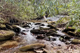 581 Hubbard Holw Rd, Rosman, NC 28772 - Photo 43