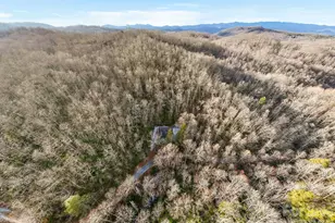 581 Hubbard Holw Rd, Rosman, NC 28772 - Photo 43