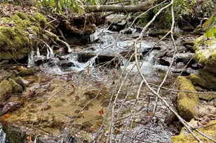 581 Hubbard Holw Rd, Rosman, NC 28772 - Photo 41