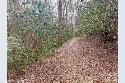581 Hubbard Hollow Road, Rosman, NC 28772 - Photo 39