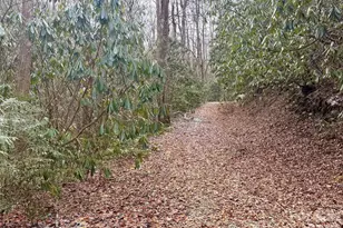 581 Hubbard Holw Rd, Rosman, NC 28772 - Photo 39