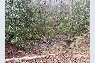 581 Hubbard Hollow Road, Rosman, NC 28772 - Photo 37
