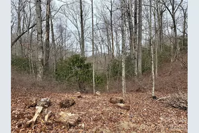 581 Hubbard Hollow Road, Rosman, NC 28772 - Photo 41