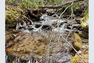 581 Hubbard Hollow Road, Rosman, NC 28772 - Photo 5