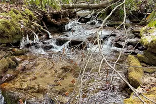 581 Hubbard Holw Rd, Rosman, NC 28772 - Photo 5