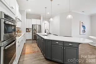 4211 Maggie Springs Way, Clover, SC 29710 - Photo 11