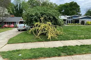 3218 Driftwood Dr, Charlotte, NC 28205 - Photo 5