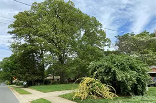 3218 Driftwood Dr, Charlotte, NC 28205 - Photo 7