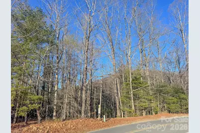 000 Old Ccc Road #3, Hendersonville, NC 28739 - Photo 7