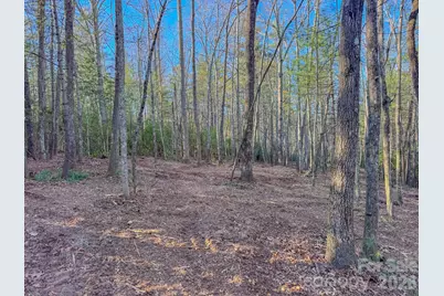 000 Old Ccc Road #3, Hendersonville, NC 28739 - Photo 21