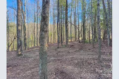 000 Old Ccc Road #3, Hendersonville, NC 28739 - Photo 23