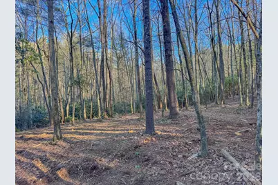 000 Old Ccc Road #3, Hendersonville, NC 28739 - Photo 29