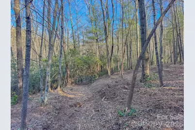 000 Old Ccc Road #3, Hendersonville, NC 28739 - Photo 25