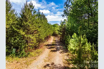 4515 Botany Trail, Maiden, NC 28650 - Photo 3