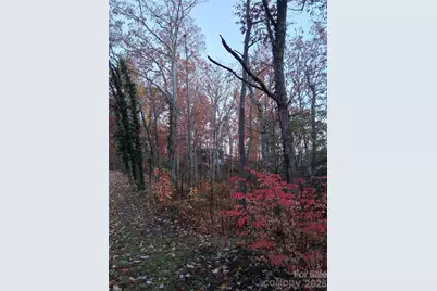 752 Burnside Trail #32, Hendersonville, NC 28792 - Photo 27