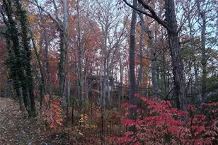 752 Burnside Trail, Hendersonville, NC 28792 - Photo 27