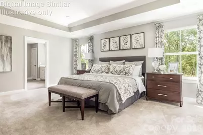 5007 Pineapple Lily Drive, Charlotte, NC 28216 - Photo 7