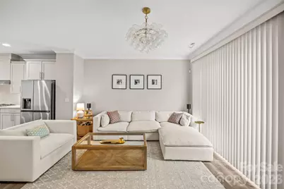 314 Hastings Run Drive, Charlotte, NC 28211 - Photo 21