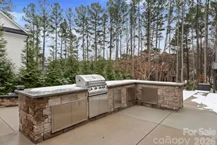 8022 Silver Jade Ln, Denver, NC 28037 - Photo 7