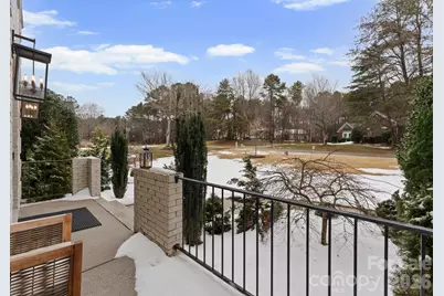 8022 Silver Jade Lane, Denver, NC 28037 - Photo 9