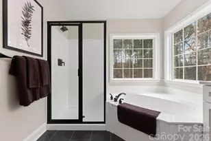 8022 Silver Jade Ln, Denver, NC 28037 - Photo 31