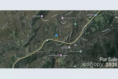 131 Old Cabin Cove, Sylva, NC 28779 - Photo 3