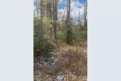 99999 Old Nc 280 Highway, Pisgah Forest, NC 28768 - Photo 9