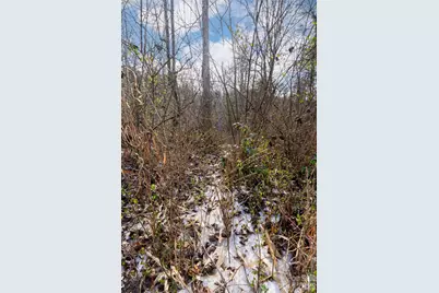 99999 Old Nc 280 Highway, Pisgah Forest, NC 28768 - Photo 11
