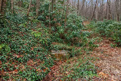 55 Heavenly Lane, Fairview, NC 28730 - Photo 39