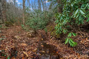 55 Heavenly Ln, Fairview, NC 28730 - Photo 37