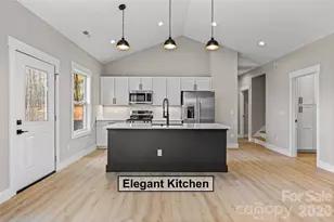 459 Waters Rd, Hendersonville, NC 28792 - Photo 19