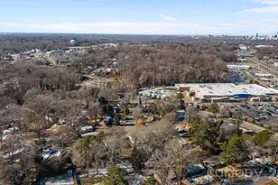 1036 Cutler Pl, Charlotte, NC 28205 - Photo 41