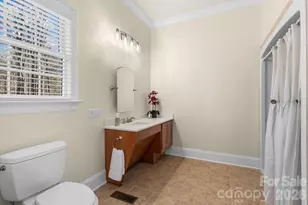 108 W Callicutt Trail, Mooresville, NC 28117 - Photo 19