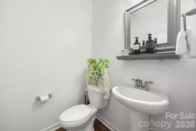 15125 Luna Drive, Charlotte, NC 28278 - Photo 19