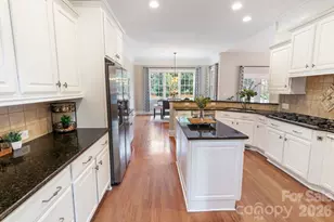 2817 Bevis Ln, Waxhaw, NC 28173 - Photo 21