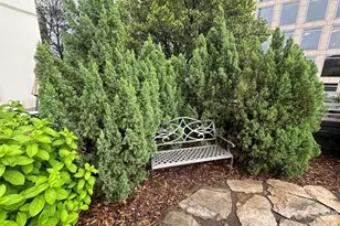 333 W Trade Street W, Charlotte, NC 28202 - Photo 23