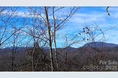 Tbd Ruffed Grouse Road #L045, Brevard, NC 28712 - Photo 3