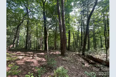 Lot # 21 Haverhill Court, Flat Rock, NC 28731 - Photo 21