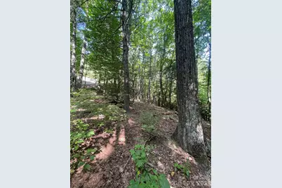 Lot # 21 Haverhill Court, Flat Rock, NC 28731 - Photo 17