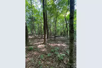 Lot 20 Haverhill Court #20, Flat Rock, NC 28731 - Photo 7