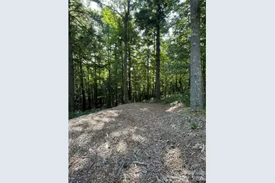 Lot 20 Haverhill Court #20, Flat Rock, NC 28731 - Photo 25