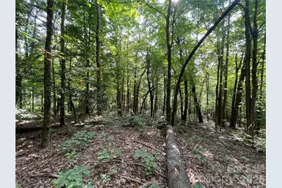 Lot 20 Haverhill Court #20, Flat Rock, NC 28731 - Photo 11