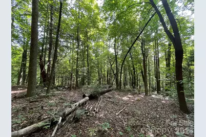 Lot 20 Haverhill Court #20, Flat Rock, NC 28731 - Photo 9