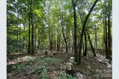 Lot 20 Haverhill Court #20, Flat Rock, NC 28731 - Photo 13