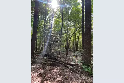 Lot 20 Haverhill Court #20, Flat Rock, NC 28731 - Photo 19