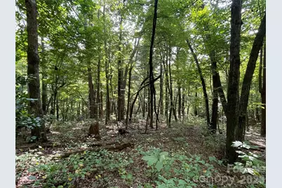 Lot 20 Haverhill Court #20, Flat Rock, NC 28731 - Photo 17