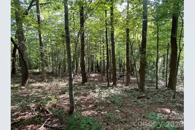 Lot 20 Haverhill Court #20, Flat Rock, NC 28731 - Photo 23